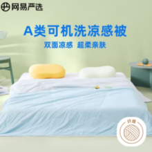 PLUS会员！网易严选 A类新氧VC抗菌凉感果冻被夏凉被 200*230cm