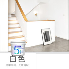 梵竹五合一乳胶漆内墙漆室内翻新修补刷墙面漆净味水性漆防水油漆涂料 白色 5L（约刷65平方/遍）