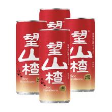 HOPE WATER 好望水 果汁气泡水望山楂汁330ml*4罐果味饮料健康山楂饮品解腻