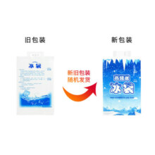 佰伶佰俐 400ML注水冰袋 户外食品海鲜冷藏冰包 10个装
