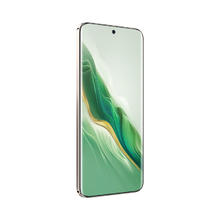 HONOR 荣耀 Magic6 16GB+256GB 麦浪绿