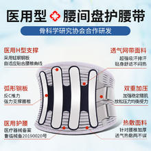 lizi 立姿 医用护腰带 L