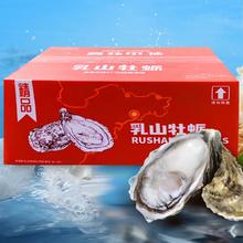 产地直发！秒杀1000单！乳山生蚝 3XL牡蛎 5.5斤装 （带官方溯源防伪标识、死蚝包赔）