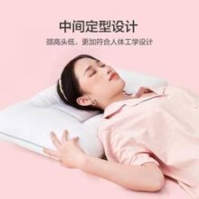 BLISS 百丽丝 2只装 荞麦枕头