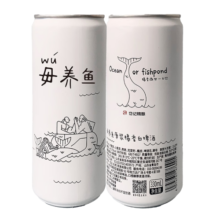 岱记精酿经典小麦白啤酒精酿啤酒 原浆橘香白啤330ml罐装整箱 原麦汁11度 330mL 24罐 整箱装 +750ml秘境白啤