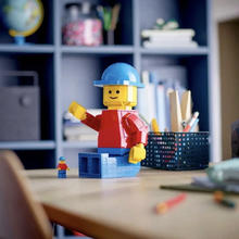 百亿补贴：LEGO 乐高 积木新品40649放大版乐高®小人仔男女孩礼