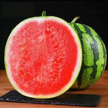 abay 正宗美都麒麟瓜黑白子新鲜现摘脆甜多汁薄皮西瓜 优选麒麟瓜 净 重5-6斤 （1个装）
