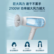 飞利浦（PHILIPS）小花筒电吹风机BHD378家用2100W功率冷热风吹风筒理发店 礼物送女生 2000万负离子BHD378