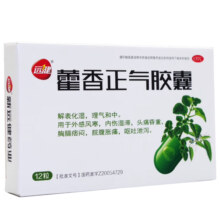远健藿香正气胶囊0.3g*12粒  1盒装