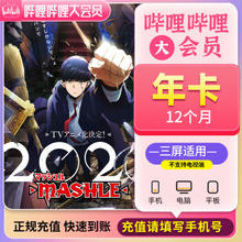 bilibili 哔哩哔哩 超级大会员年卡