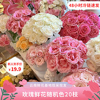 某东鲜花 随机色玫瑰20枝颜色品种随机昆明直发鲜花送女朋友节日礼物