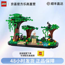 LEGO 乐高 40530向珍妮古道尔致敬Jane 黑猩猩乐园 男女孩拼插积木玩具