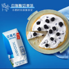 再补券、PLUS会员：SHUHUA 舒化 伊利 安慕希希腊风味酸奶 原味205g*10盒/箱