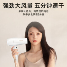 康夫(CONFU)电吹风 家用水润吹风机发廊大功率恒温护发6档风筒女KF-3096