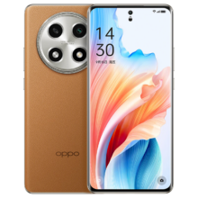 PLUS会员: OPPO A2 Pro  67W超级闪充 8GB+256GB