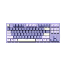 新盟（TECHNOLOGY）X87客制化机械键盘Gasket结构有线RGB热插拔电竞游戏笔记本办公 薰衣草-混光【全键热插拔】 茶轴【日常办公】