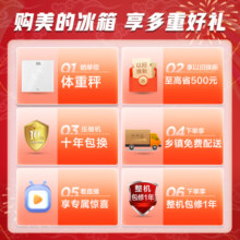 美的（Midea）532法式多门四开门电冰箱变频一级能效家用无霜双系统双循环大容量智能MR-532WFPZE