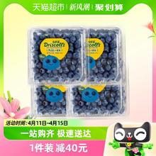 DRISCOLL'S/怡颗莓 怡颗莓云南蓝莓新鲜水果125g*4盒小果酸甜口感
