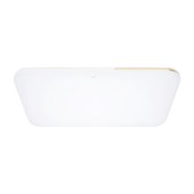 飞利浦（PHILIPS）led吸顶灯客厅灯北欧现代简约超薄墙壁三色可调灯具灯饰108W品逸