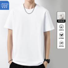 JEANSWEST 真维斯 男士纯棉短袖T恤