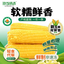 珍谷诱惑 23年新玉米 东北有机糯玉米 鲜食糯玉米棒200g/支 真空玉米 有机黄糯10支箱装