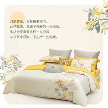 MENDALE 梦洁家纺 60S支长绒棉四件套 浮香月影 1.5米床(200*230cm)