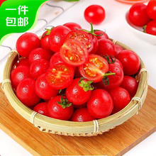 京百味 西红柿千禧小番茄3斤 约120颗中果
