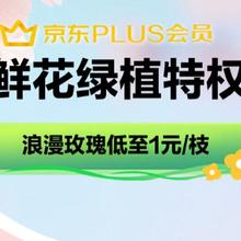 促销活动：京东 PLUS会员鲜花特权 定制鲜花/绿植