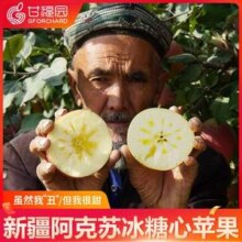 甘福园 新疆阿克苏冰糖心苹果 5斤
