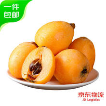 鑫果伴 四川攀枝花米易五星枇杷 源头直发 约2.2斤 单果25g-35g