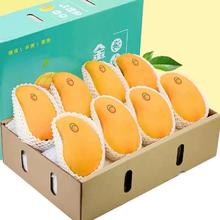 超级秒杀100箱！正宗金煌芒 9.5斤 特大果 500g+