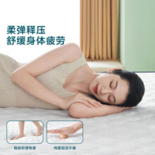 林氏生活（LINSY HOME） 林氏家居木业乳胶床垫家用宿舍租房学生加厚折叠收纳软垫 乳胶慢回弹舒适床垫（5cm） 90×190cm