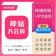 再降价：哔哩哔哩大会员一年 bilibili B站一年大会员1年 12个月 一次到账1年（不支持电视）
