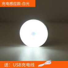 大九卫 智能充电自动人体感应灯过道无线夜间楼梯楼道卫生间感应小夜灯 【发1个】充电感应白光