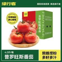 GREER 绿行者 普罗旺斯番茄4.5斤新鲜西红柿沙瓤多汁生吃自然熟水果
