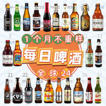 ERGOUPUB plus会员：ERGOUPUB全球精酿啤酒组合装 白啤/IPA/修道院/黑啤/果啤 比利时/德国等 330mL 24瓶