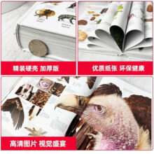 新华书店官方正版 DK博物大百科全书儿童军事太空动物植物生物万物博物馆百科全书6-12-18岁学生课外阅读书籍恐龙儿童科学自然界 科普百科礼物 DK博物大百科