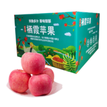 东方玘缘 DFQY 山东烟台栖霞红苹果 5斤