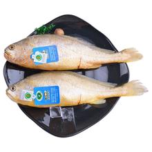 限移动端：三都港 三去黄花鱼 2条 700g