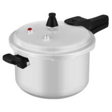 双喜 高压锅燃气煤气明火电磁炉通用压力锅家用锅具 2-3人 20cm 4.5L
