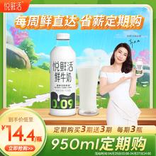 悦鲜活 鲜牛奶 超瞬时杀菌鲜奶 950ml/瓶 买一期送一期