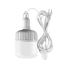 振牛 家用LED灯泡 10w