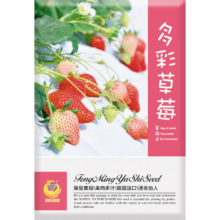 凤鸣雅世 奶油草莓种籽 四季家庭阳台 春季秋冬季盆栽草莓种子 多彩草莓种子