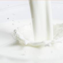 SATINE 金典 伊利金典有机纯牛奶250ml×16盒*2箱中欧双认证学生牛奶早餐礼盒