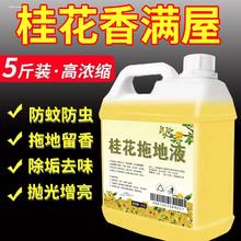 五优家家 桂花木地板清洁剂拖地专用清洁液瓷砖地面清洁家用花露水大桶浓缩