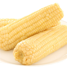 新鲜软糯玉米即食真空包装200g*8根