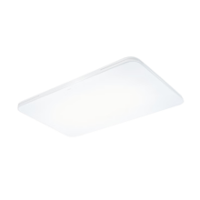 飞利浦（PHILIPS）led吸顶灯客厅灯卧室灯北欧风现代简约超薄灯具灯饰 怡轩120W