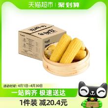 88VIP会员：88VIP：采甜农新鲜玉米黄糯玉米8支装1.76kg/箱真空玉米东北糯玉米