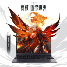 再降价、PLUS会员、京东百亿补贴：MECHREVO 机械革命 翼龙15 Pro 15.3英寸游戏本（R7-8845H 24G 1T RTX4060 2.5K 暮石灰）