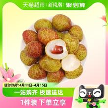 88VIP会员：others 其他 海南桂花香荔枝1000g
